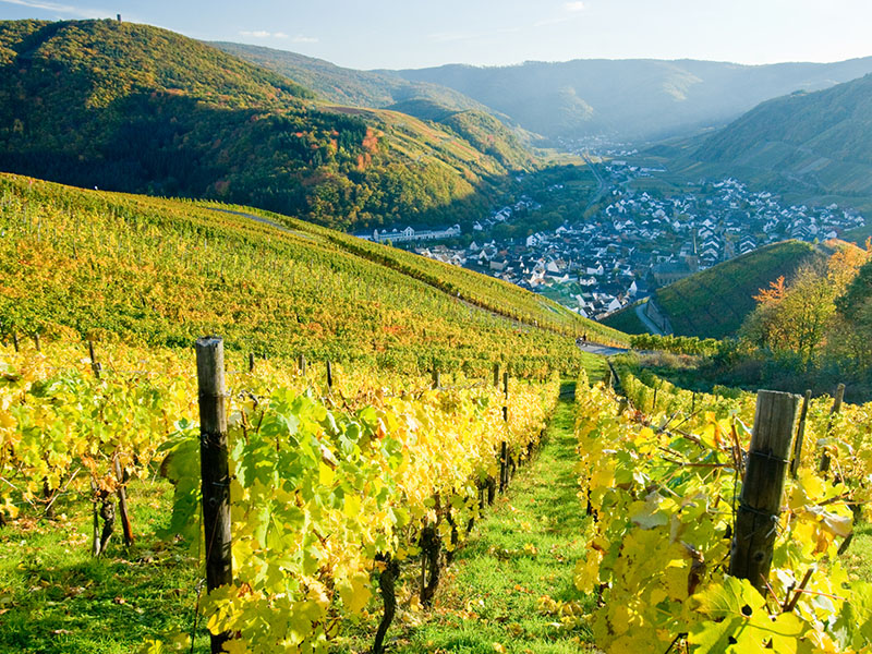 Im Weinh&auml;uschen Altenahr